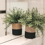 Suit'home Commerce Apartamento