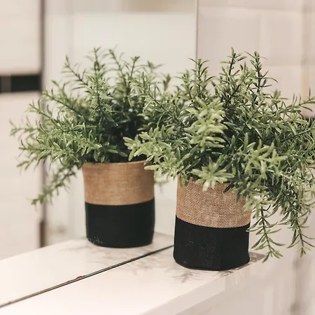 Suit'home Commerce Appartement