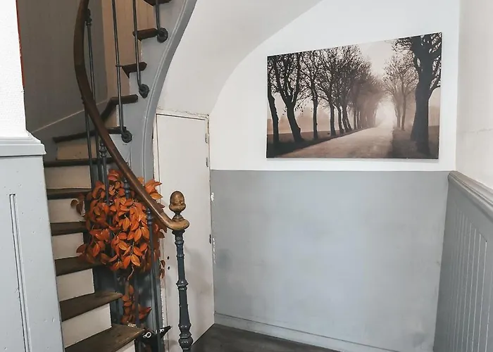 Suit'home Commerce * Angers