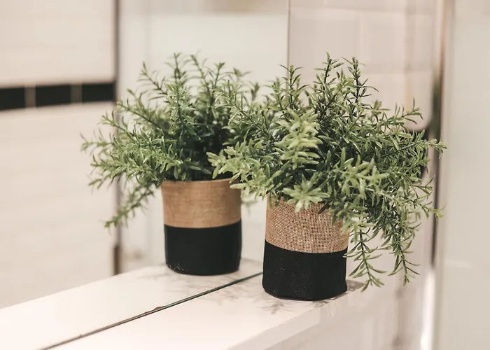 Suit'home Commerce Apartament